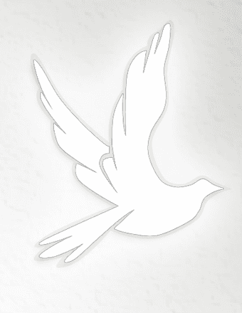 Fannie Mae Hills Obituary